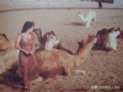 After 3 wool die 30 years, a Spanish cameraman, add was written the story that with a ha plays is spread on the west