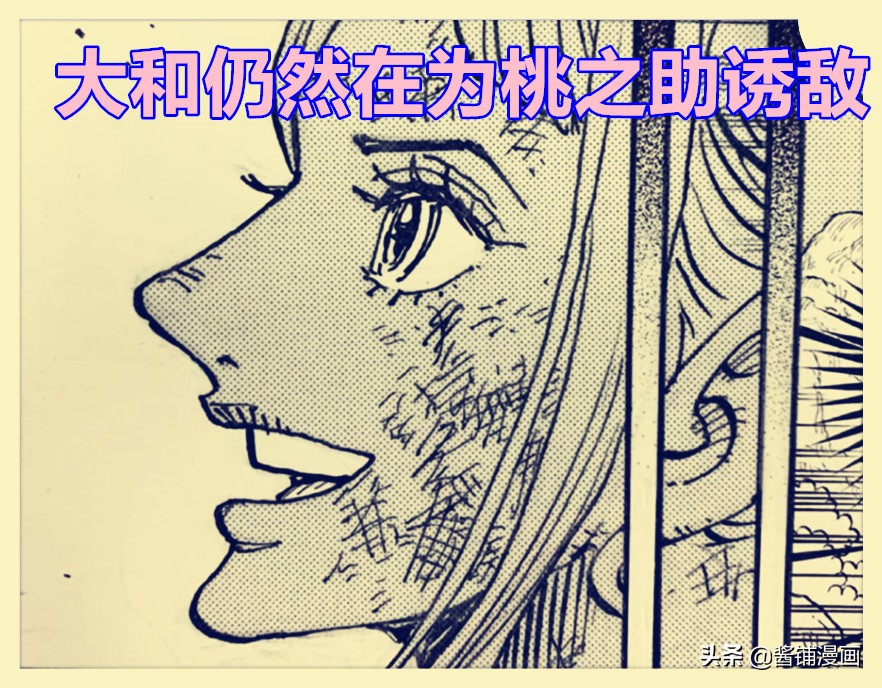 海賊王1014話，凱多確認路飛掉入海洋，喬巴藍波球讓奎因再次吃癟