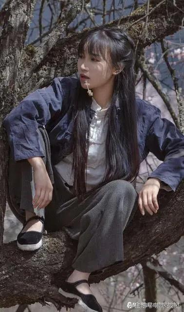 美食网红第一人:李子柒个人简介资料背景,刷出吉尼斯世界纪录新高度