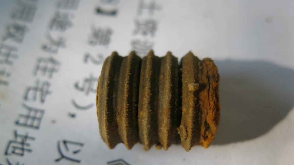 地球上真有史前文明？化石中发现齿轮螺丝钉，主角是“冬虫夏草”