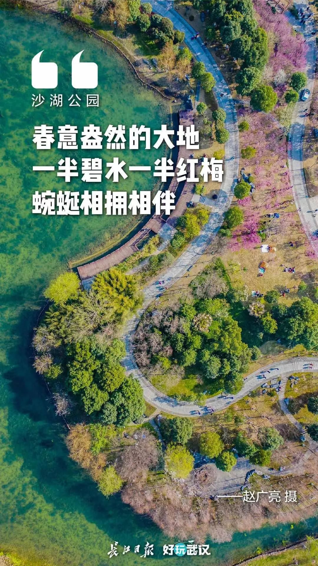回味！温暖春节的灿烂瞬间 