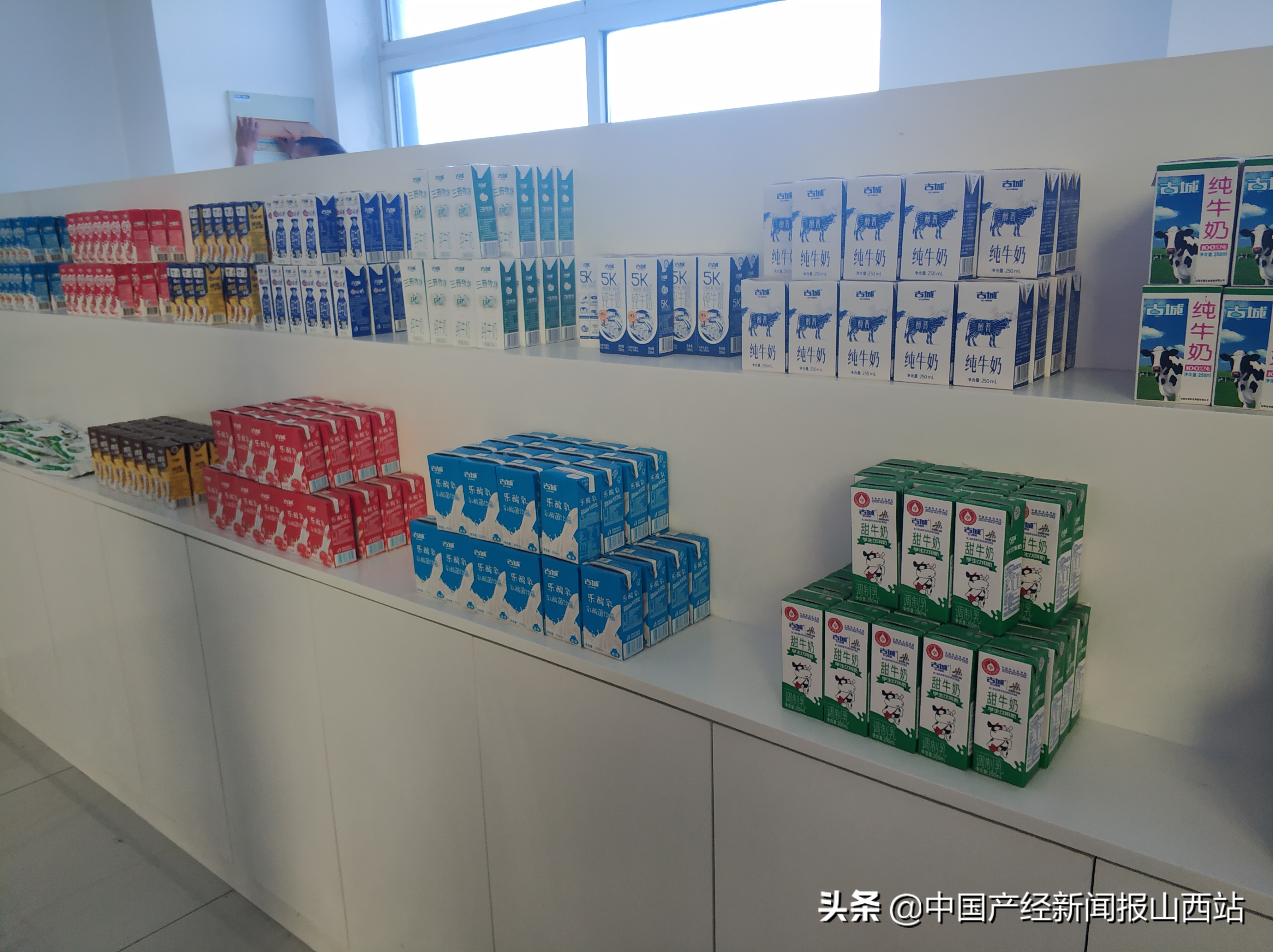 山西山阴县：乳品产业引领精准扶贫，龙头带动脱贫奔小康
