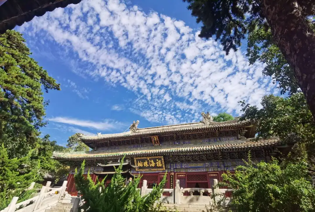 Find the quietness of ancient temples, and enjoy the beautiful scenery of early autumn at Tanzhe Temple and Jietai Temple!