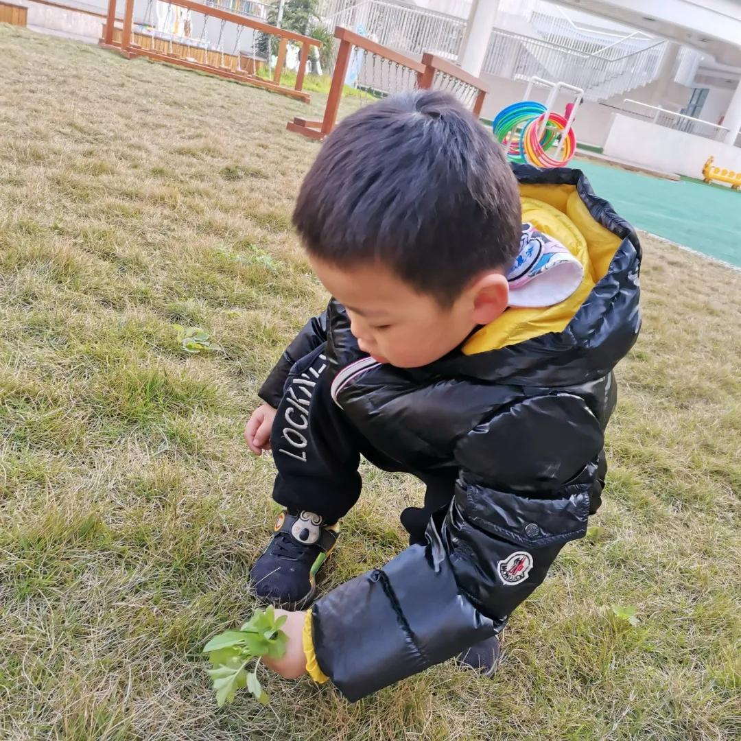 学习雷锋好榜样，童心传递正能量丨天府新区宁安幼儿园学雷锋活动