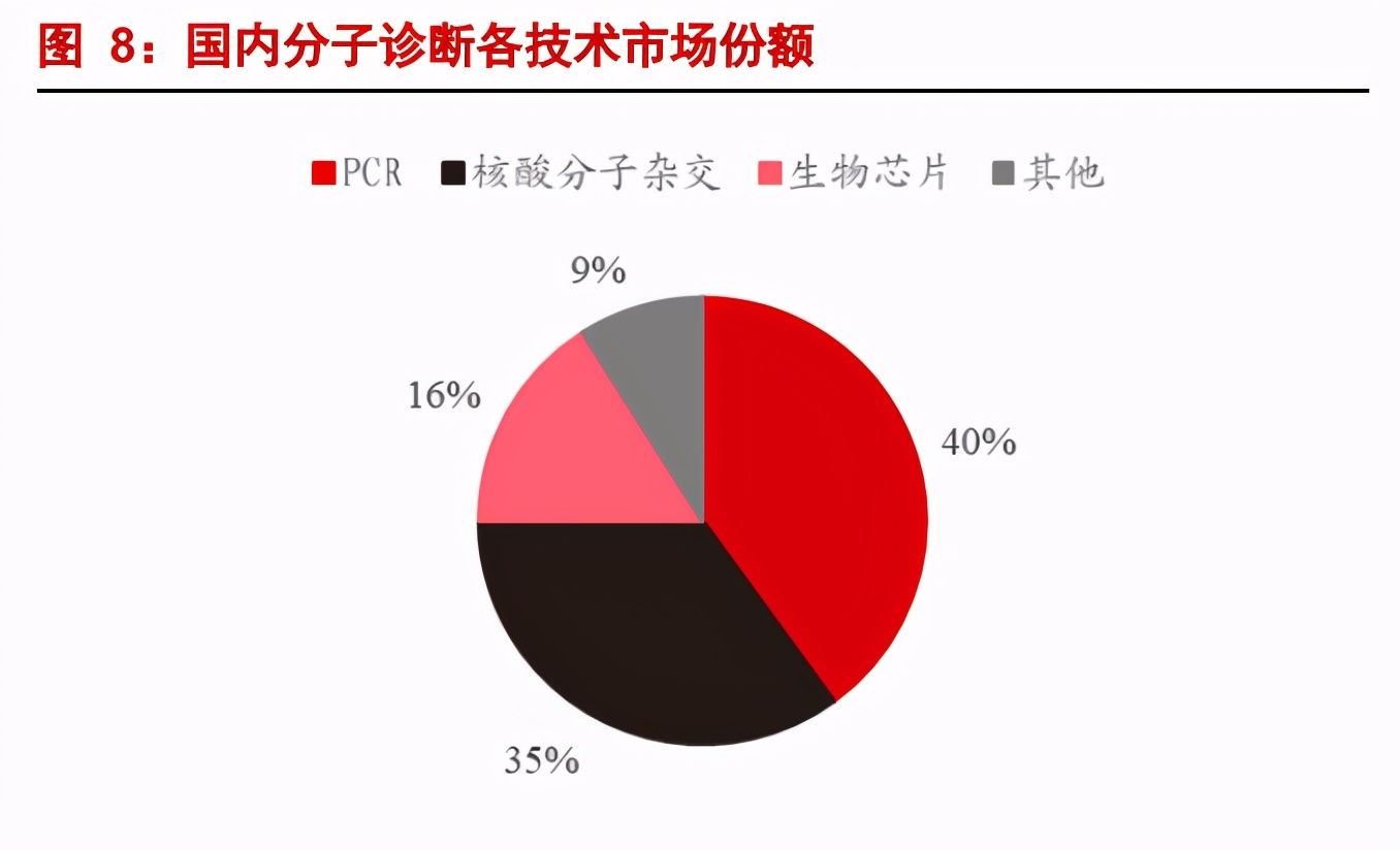 PCR行业专题报告：分子诊断黄金赛道