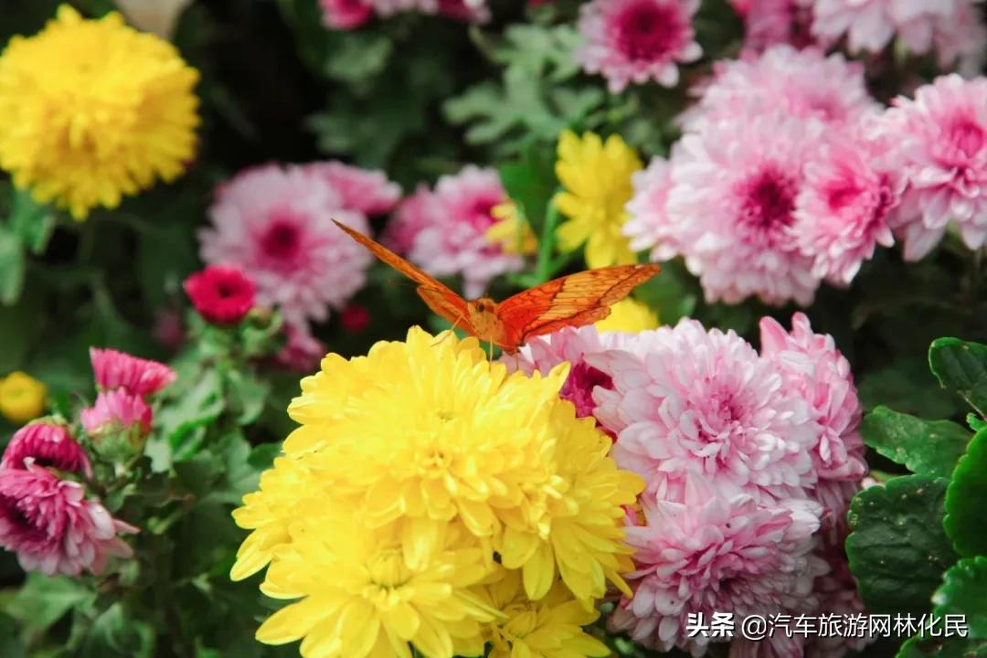 春游，一起来萤火虫水洞•地下大峡谷旅游区