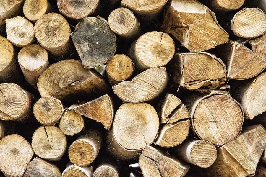 「快讯」通过木材控制计划促进森林的可持续利用，防止非法采伐