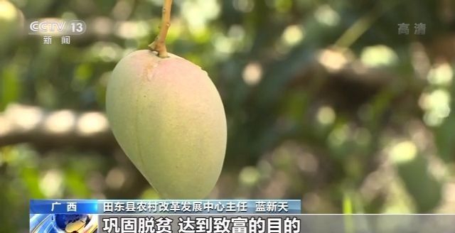 金融扶贫结出硕果！广西扶贫小额信贷 助力贫困户产业脱贫