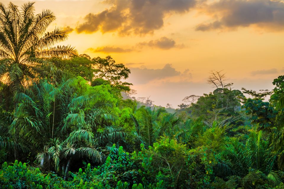 地球之肺，探索地球上的17個雨林