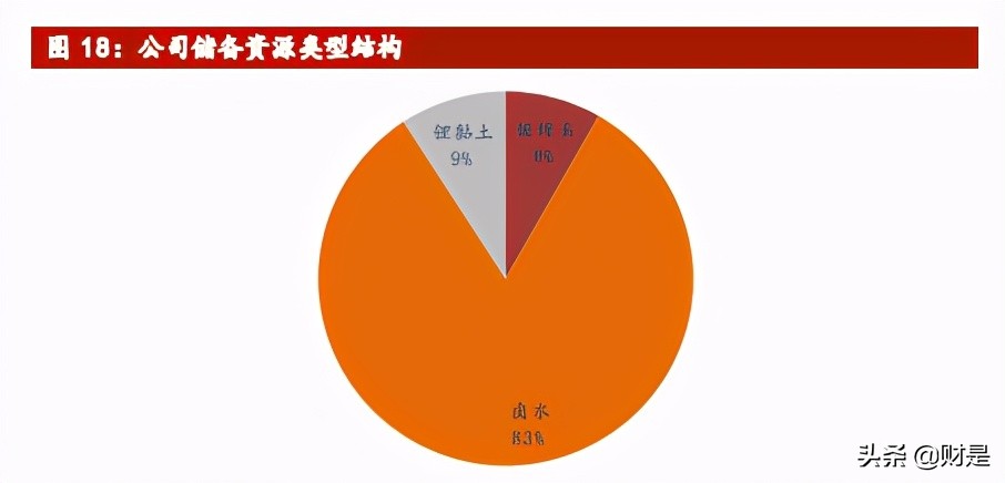 赣锋锂业深度解析：锂业龙头，受益行业大周期