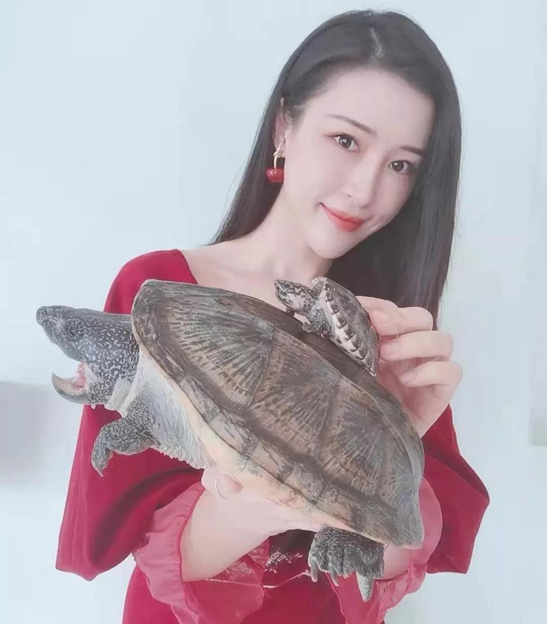 12万粉丝，撬动两千万销售额，萌宠生意在直播中爆发了嘛？