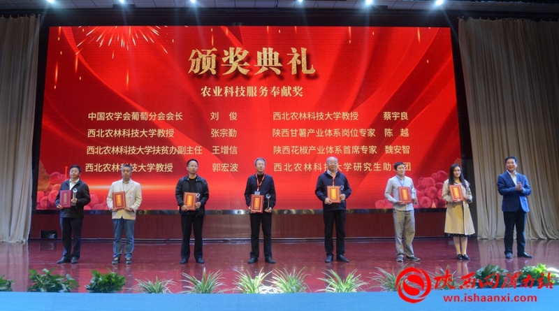 合陽縣2020年農(nóng)民豐收節(jié)暨第五屆紅提葡萄節(jié)開幕（組圖）