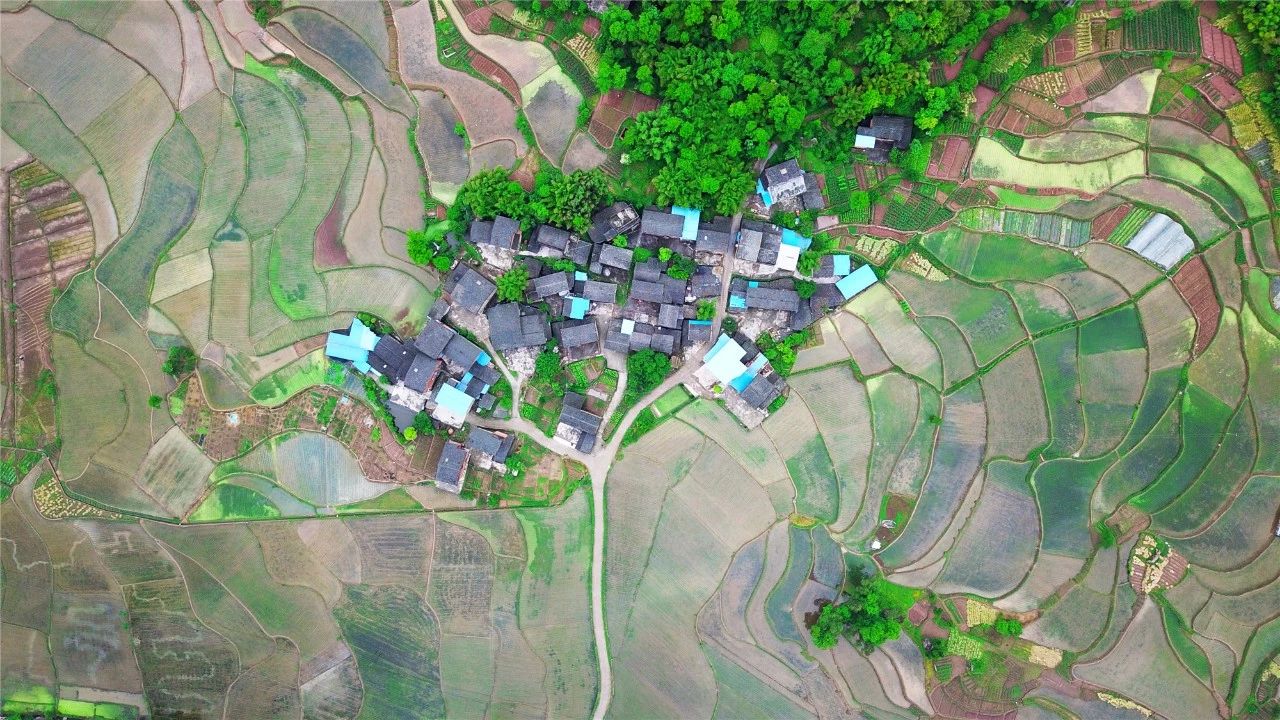 重庆冷知识：山城还有超大的平原？面积超过100平方公里