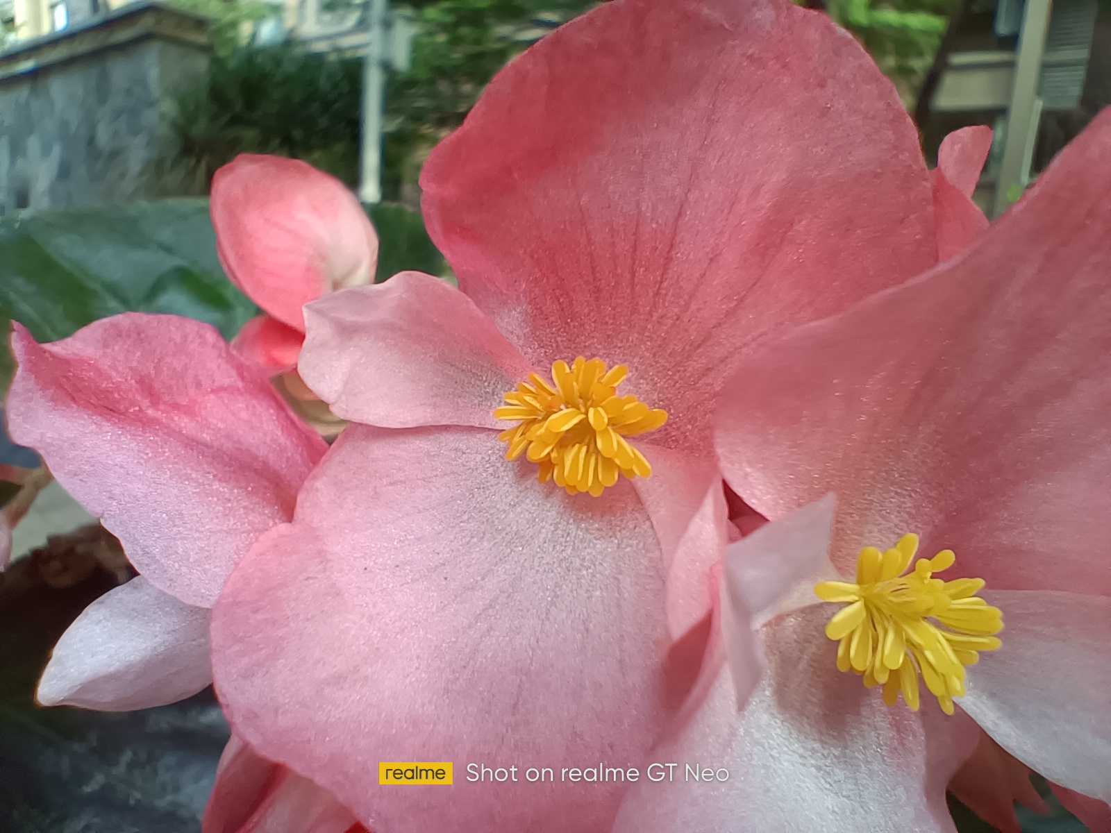 realme GT Neo手机真实评测，锁定2021年2000元手机最优性价比选项