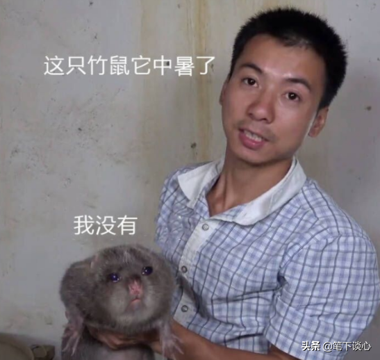 仅将自媒体当做主业，你的成功概率有多大？