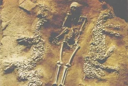 长江考古发现“巨龙”，长7米距今6000年，专家：