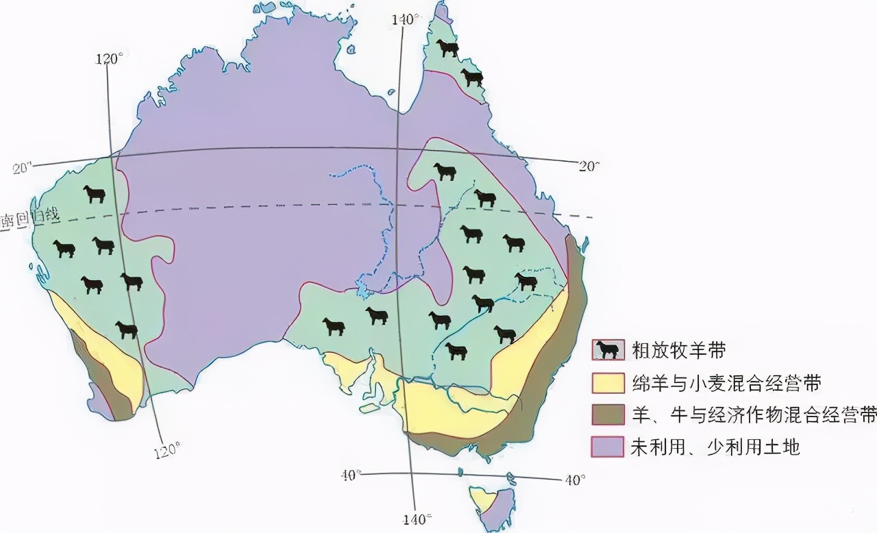 澳大利亚三大牧羊带图片