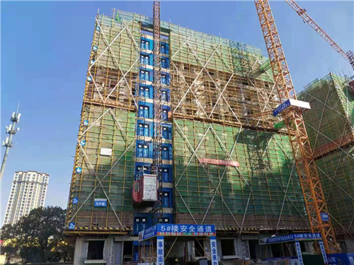 悦隽时代1月家书｜2021牛气腾腾，一起奔向理想家