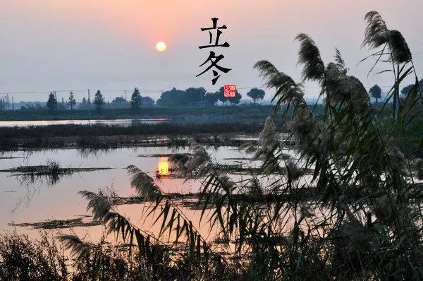 28首最美唐诗，带你领略古诗中的四季之美-第13张图片-非凡网