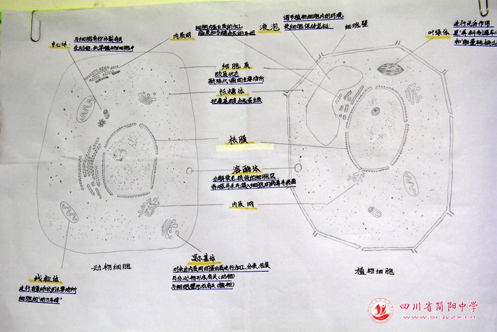 四川省简阳中学怎么样?首届生物学科节(图7)