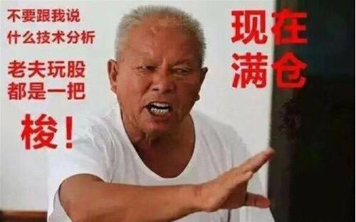 从韭菜到“钉子户”，散户该如何抄作业？