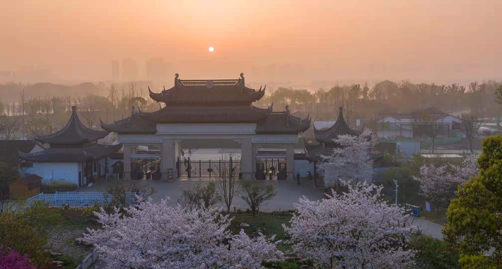 游上方山赏“百花”，苏州市植物园邀市民游客共度“五一”假期