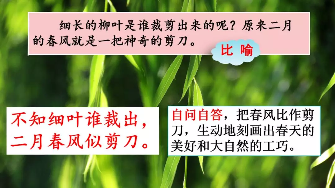 二年级古诗咏柳的意思，分享古诗咏柳全诗及释义