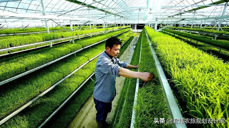28個農業扶持大項目，總有一款能夠適合你！