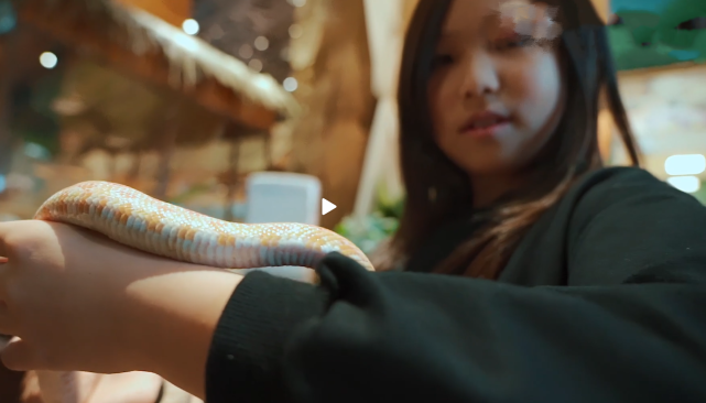 張晉曬一家五口幸福出遊，蔡少芬再現坑娃日常，兒子被嚇到大哭