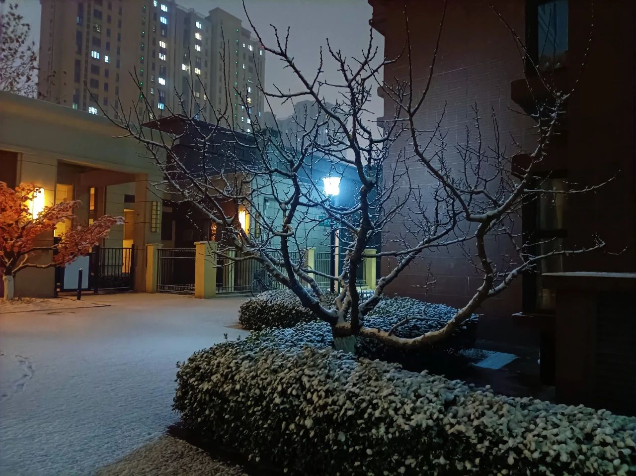 30句令人失眠的诗词句子-第1张图片-非凡网