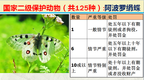 国家最新125类二级野生保护名录，图片及违法对应刑责