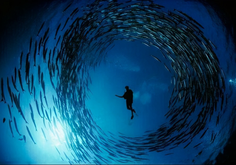深海恐惧症来源，海底10000米为何如此恐怖？到底有什么？
