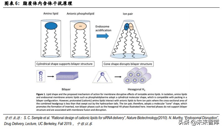 疫苗技术专题分析报告：mRNA疫苗开启疫苗行业新时代