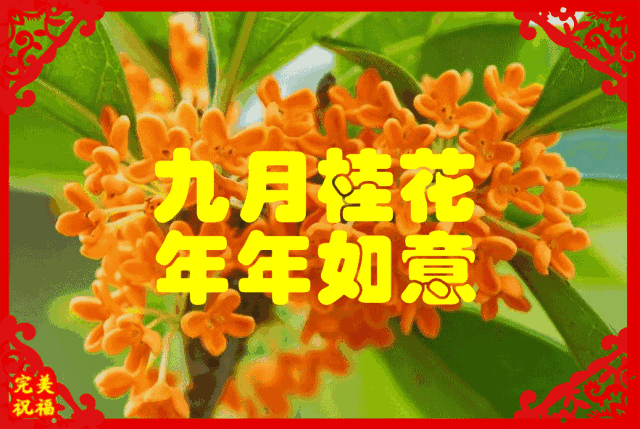 今日元宵节，祝福送上