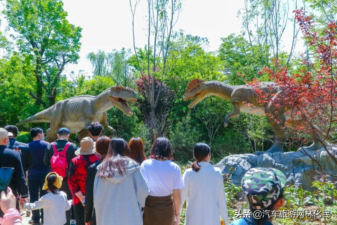 “五一”乐翻天，龙园景区游人如织，秩序井然