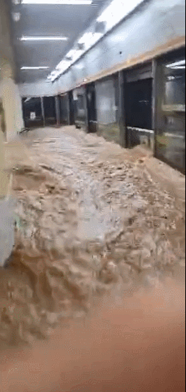 河南人朋友圈流传的12张照片，暴露了藏在中国人骨子里的高贵