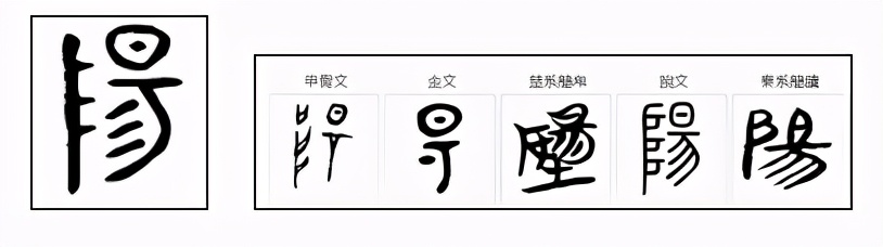 “鱼和鸟”是阴阳文化起源