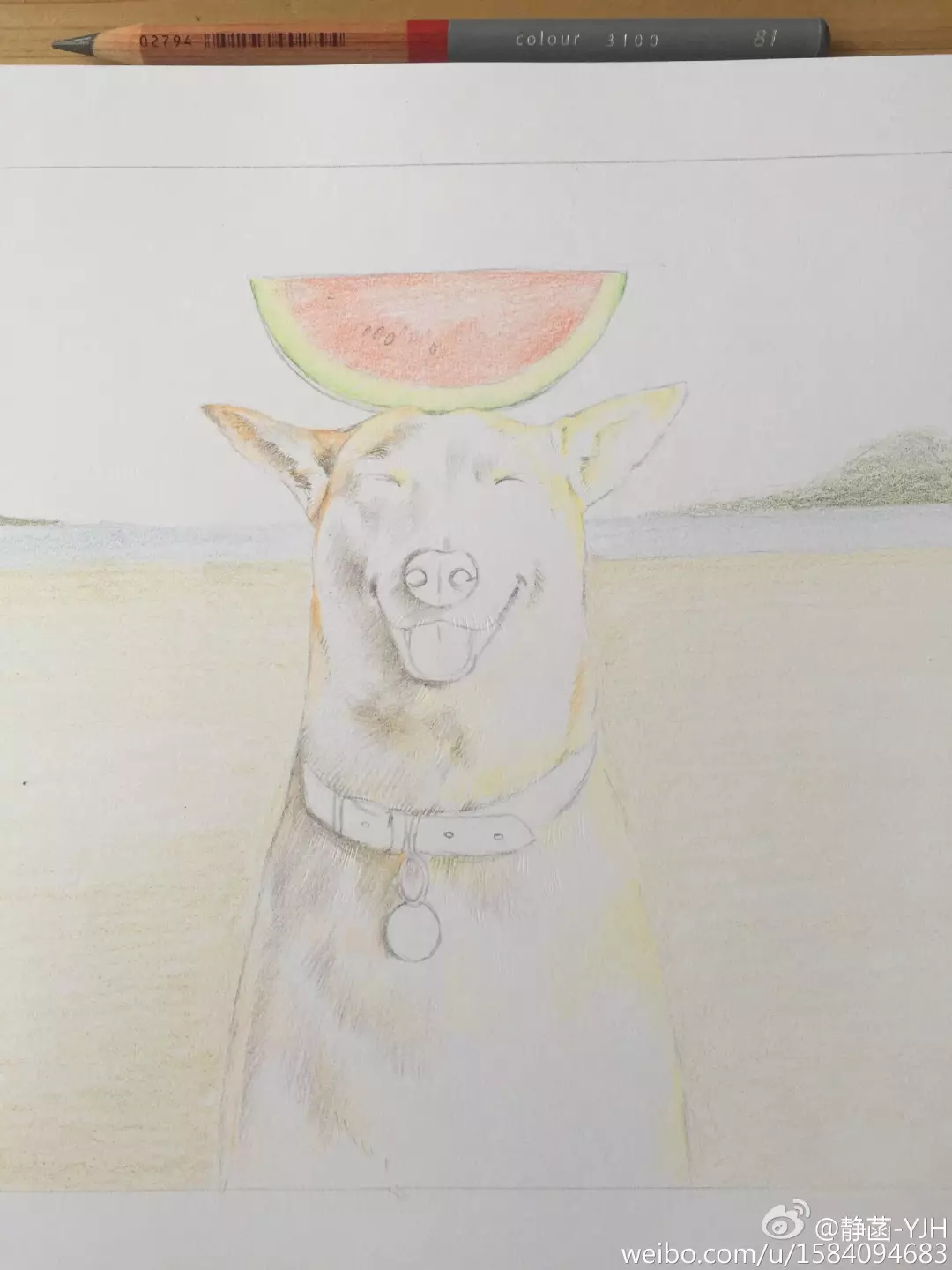 彩鉛動物入門教程｜可愛逗B狗(馬可帶色號)