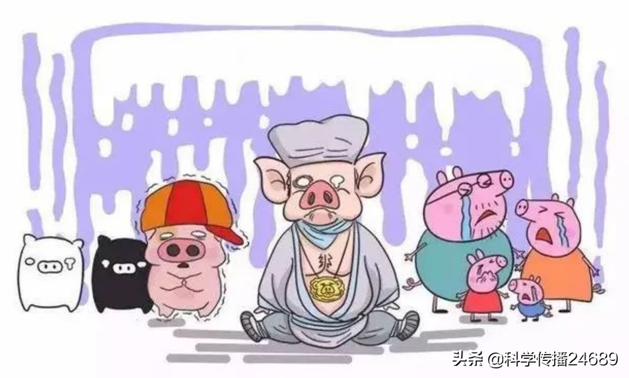 这些事情告诉你，非洲猪瘟可怕吗？