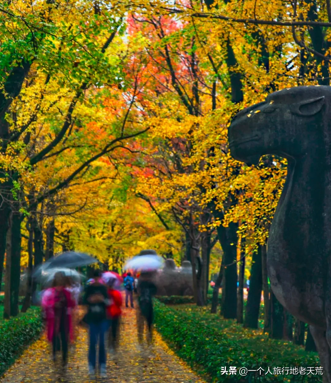 这才是10、11月最值得一去的地方！秋天第一场旅行，你想去哪