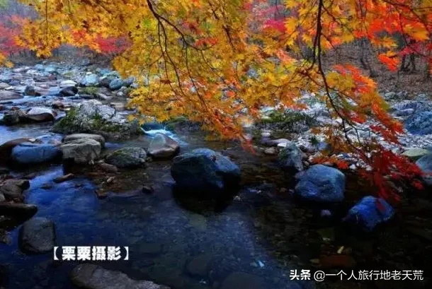 中国最大最美的边境城市，10月将迎来颜值巅峰