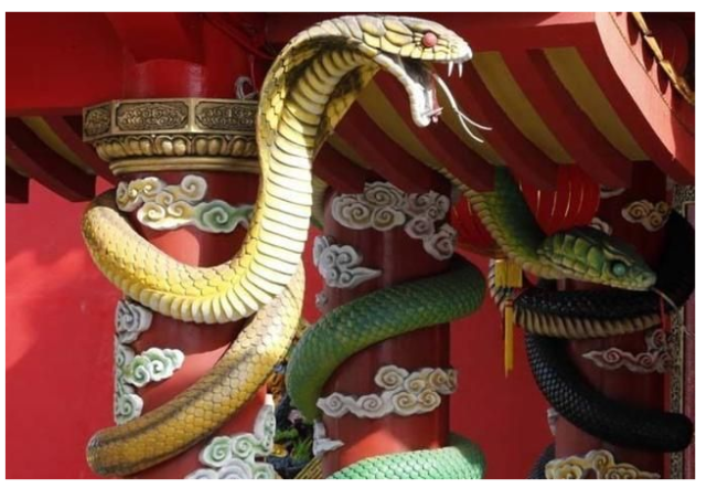 世界唯一的“蛇庙”，寺内四处是青蛇，游客：一点也不怕人
