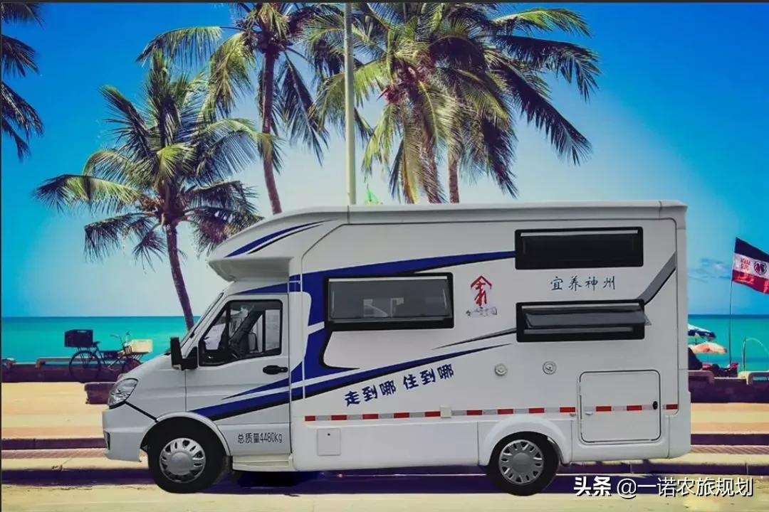 案例：乡村振兴项目政策和补贴