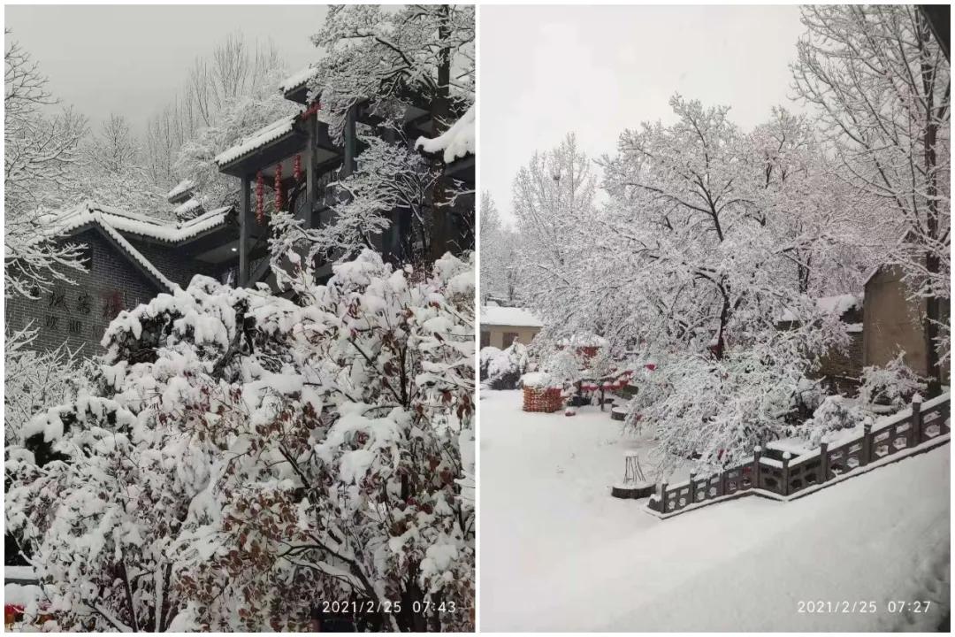 牛年第一场雪来啦！临沂继续发布道路结冰黄色预警