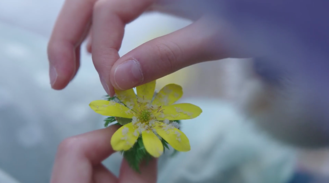 豆瓣8.9，金秀贤新剧有望成为又一爆款韩剧吗？