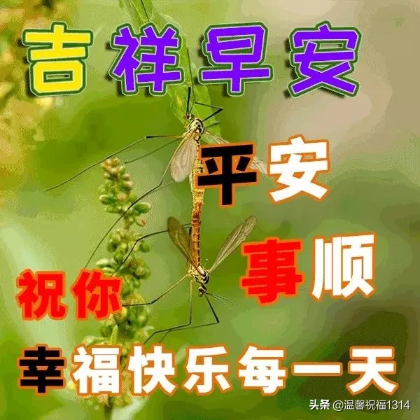 关心的早上好祝福语大全 早上好问候图片和文字图片