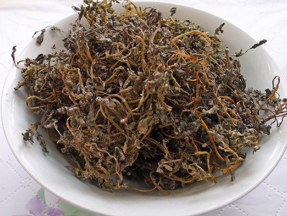 圖片[8]-這4種菜曬成干比新鮮的好吃 遇見多買點 曬干保存好 隨吃隨取-起舞食譜網