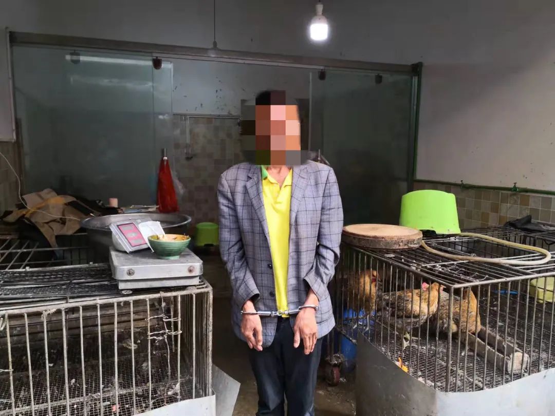 云南曲靖:陆良俩奇葩人屡次偷盗家禽只为能进监狱