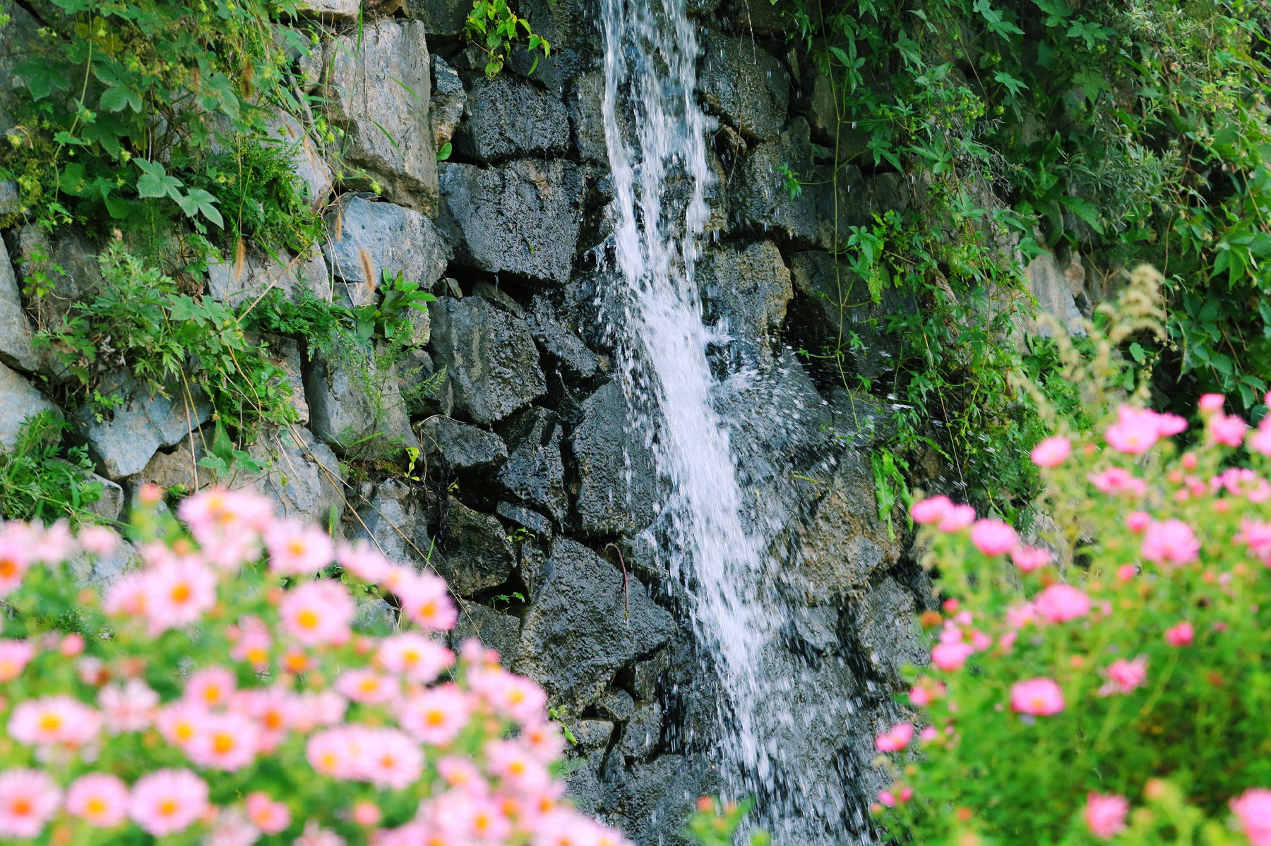 京郊密云小众亲子游，回归田园拥抱自然的超嗨假期