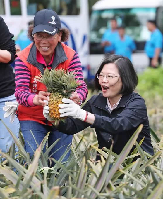 台灣香蕉農藥超標被日退貨鄧岱賢：別期待大陸放水